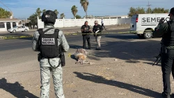 Localizan a persona encobijada sin vida sobre la carretera Culiacán–Eldorado