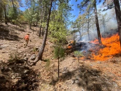 Avanza el combate a incendios forestales en Sonora: Nácori Chico alcanza 50% de control
