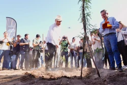Gobernador Durazo proyecta legado ambiental con plantación de más de 4 mil árboles en La Sauceda