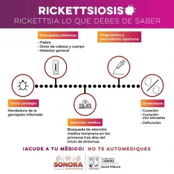 Gobierno de Sonora exhorta a acudir al médico ante síntomas de rickettsiosis