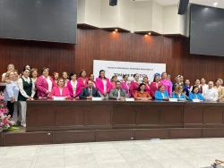 Patricia de Lourdes Retamoza, nueva presidenta del Colegio de Enfermeras y Enfermeros Sinaloenses
