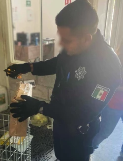 Localiza Gobierno de Sonora paquetes con mariguana en servicio de paquetería en Cajeme