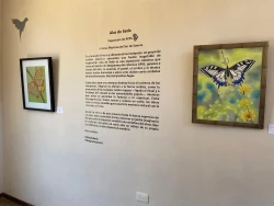 Inauguran “Alas de seda”, exposición colectiva que celebra la transformación en Yo’o Joara