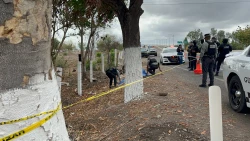 Abandonan cadáver esposado y ejecutado en la Costerita