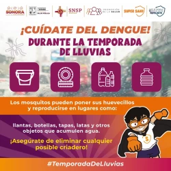 Refuerzan medidas contra el dengue en Sonora ante la llegada de las lluvias