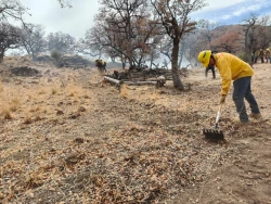 Sonora logra control total de incendios forestales