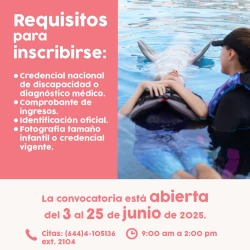 Abren convocatoria en Cajeme para terapia asistida con delfines