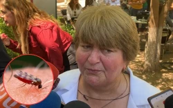¡Alerta! Van 22 casos de dengue en Ahome en lo que va del 2025