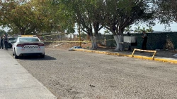 ¡Fueron 14 homicidios! tan solo este viernes en Sinaloa