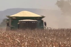 Excluyen a Sinaloa de Plan Nacional de Comercialización