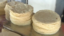 Buscan que el precio de la tortilla no aumente