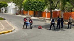 Estable se encuentra la perrita “Esperanza”