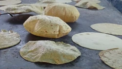 Insuficiente reducción del 5% al precio de tortilla