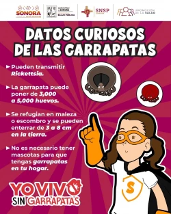 Trabaja Gobierno de Sonora en acciones preventivas contra la rickettsiosis