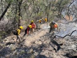 Gobierno de Sonora combate incendio forestal en Agua Prieta