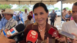 Llama servicios públicos a ciudadanía a podar árboles y palmeras