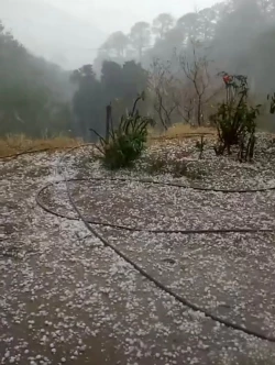 Se registran las primeras lluvias y granizo en Badiraguato