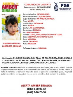 Amanda, la niña desaparecida en Los Mochis, podría haber sido trasladada a Jalisco: Vicefiscalía