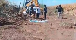 Localizan 11 osamentas en el Valle del Yaqui durante jornada de búsqueda