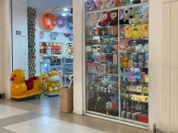 Tiendas chinas es otra alternativa para que la ciudadanía compre productos a menor precio: CANACO Mazatlán