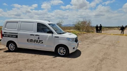 Hallan tres cuerpos ejecutados con huellas de tortura en camino de terracería en Navolato