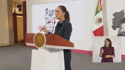 Sheinbaum anuncia reapertura de la frontera para el ganado