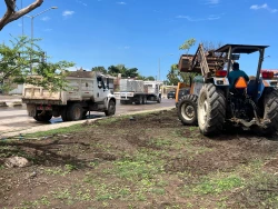 Autoridades inician limpieza preventiva en zonas de alto riesgo en Mazatlán