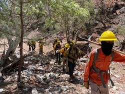Avanza control de incendio forestal en la Sierra Los Ajos