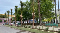 Embellecerán la Plazuela de Los Leones y el Parque Central de Mazatlán