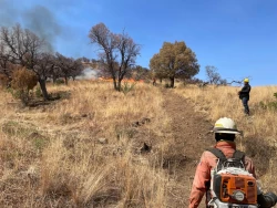 Logran liquidación total del incendio forestal en la Sierra Los Ajos