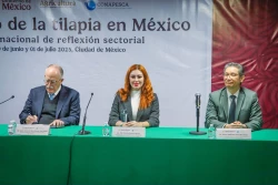 Sinaloa presente en foro Nacional de Tilapia