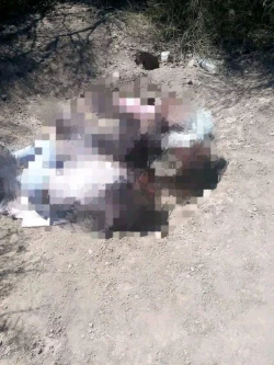 Tres pequeñas asesinadas en Miguel Alemán; Hermosillo consternado por crimen atroz