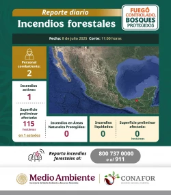 Llaman a mantener las medidas de prevención para evitar incendios forestales