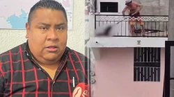 Violencia hacia animales, un síntoma de alarma en salud mental: Psicólogo