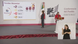 Avanzan los programas del Bienestar