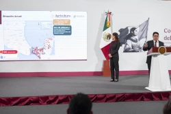 Disminuyen los casos de gusano barrenador en México
