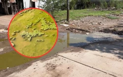 ¡Atención! Reportan encharcamientos y contaminación en la colonia 28 de Junio en Los Mochis