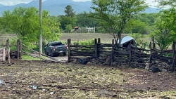 Son cuatro los muertos tras enfrentamientos en Tacuichamona, al sur de Culiacán