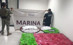 Resultados obtenidos de la "Operación Frontera Norte" el día 15 de julio de 2025: Gabinete de Seguridad de México