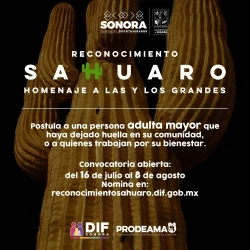 Invitan a nominar a personas mayores destacadas en el Reconocimiento Sahuaro 2025