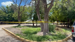 Ejecutan a balazos a un joven en El Tamarindo, al norte de Culiacán