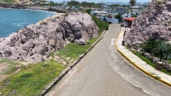 Académica de la UNAM Unidad Mazatlán aclara situación ecológica tras caso de boa y gato en el Crestón