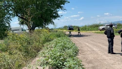 Hallan a hombre ejecutado y en estado de descomposición en Navolato