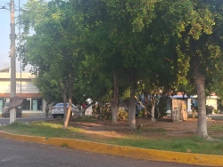 Camioneta de La Marina se estrella contra árbol en Mazatlán