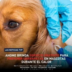 Ahome brinda servicio gratuito para prevenir garrapatas en mascotas durante el calor