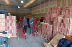 Llegan a Sinaloa 3.7 millones de libros