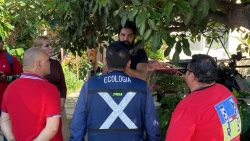 Atienden reporte expuesto en Cabildo Abierto sobre vecino con acumulación de gatitos