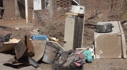 La tarea de descacharrizar le toca a la ciudadanía el mosco se prolifera en casa