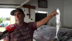 El pescado “Sierra” continúa siendo el preferido por turistas y locales en este verano