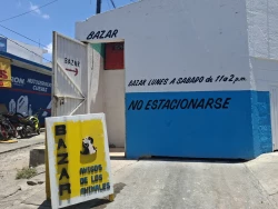 Bazar "Amigos de los Animales" de Mazatlán busca apoyo ciudadano para el sostenimiento del refugio